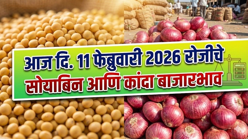 Soybean Market Rates